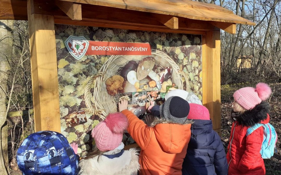 Új tanösvény a Debreceni Nagyerdőn