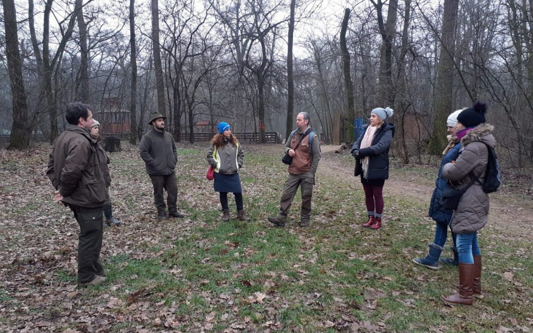 „Sóstói-erdő kerekasztal”