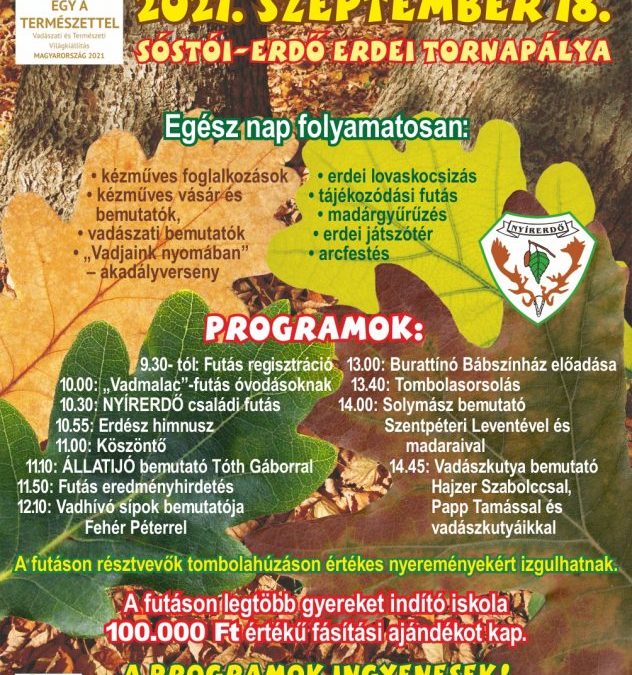 NYÍRERDŐ Nap Nyíregyházán