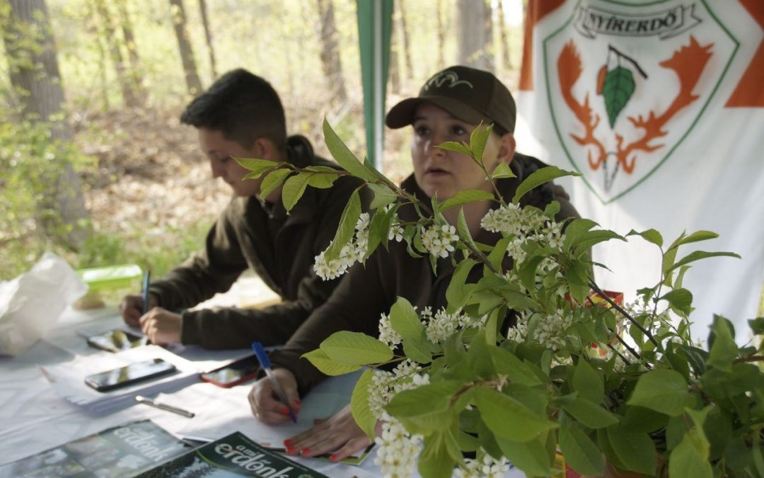 Népszerű volt a „Szedd magad a Májusfát!” program