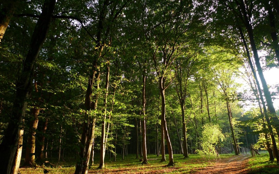 Ideális túracélpontok Magyarország észak-keleti részén