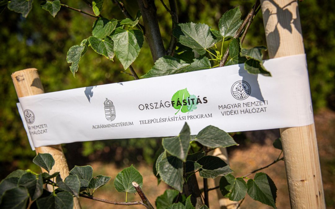 Településfásítási Program – Újabb 543 település lesz zöldebb