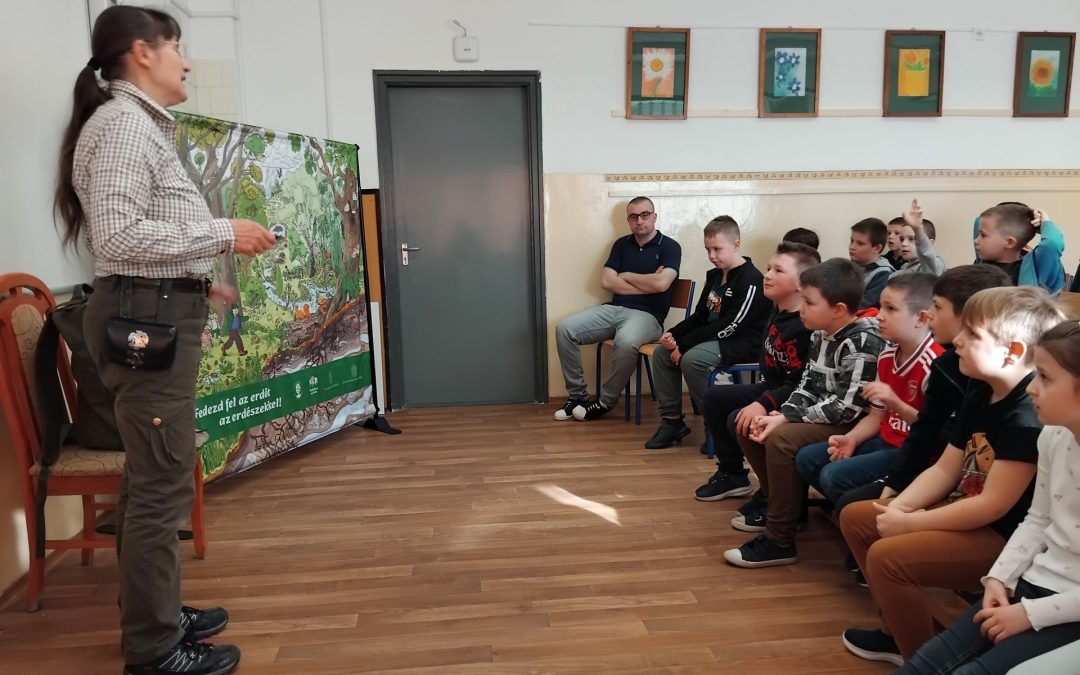 Iskolában az erdei iskola