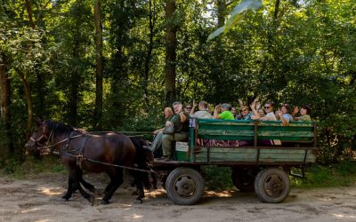 „Az erdő a hivatásom, a jövő a küldetésem.” Erdésznők Országos Találkozója Debrecenben