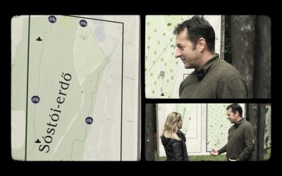 Városi erdőkezelés Nyíregyházán