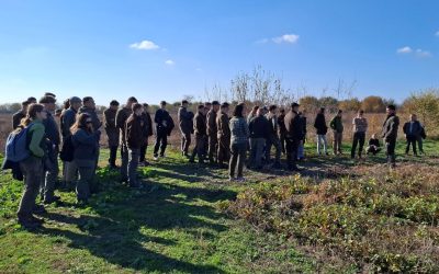 Szegedi fiatalok tanulmányútja