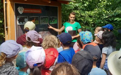 Több ezer óvodás és iskolás gyermek járt a debreceni erdei iskolában 2025-ben